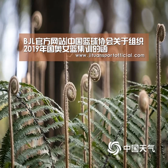 BJL平台集团官网